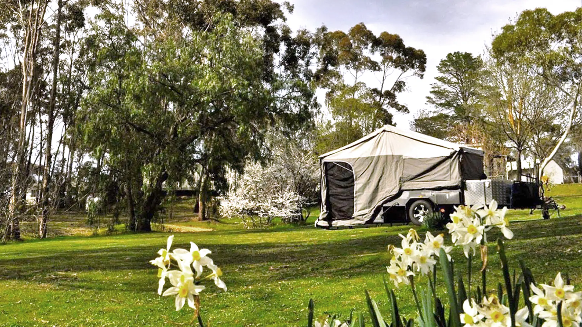 Help shape the future of the Maldon Caravan Park.