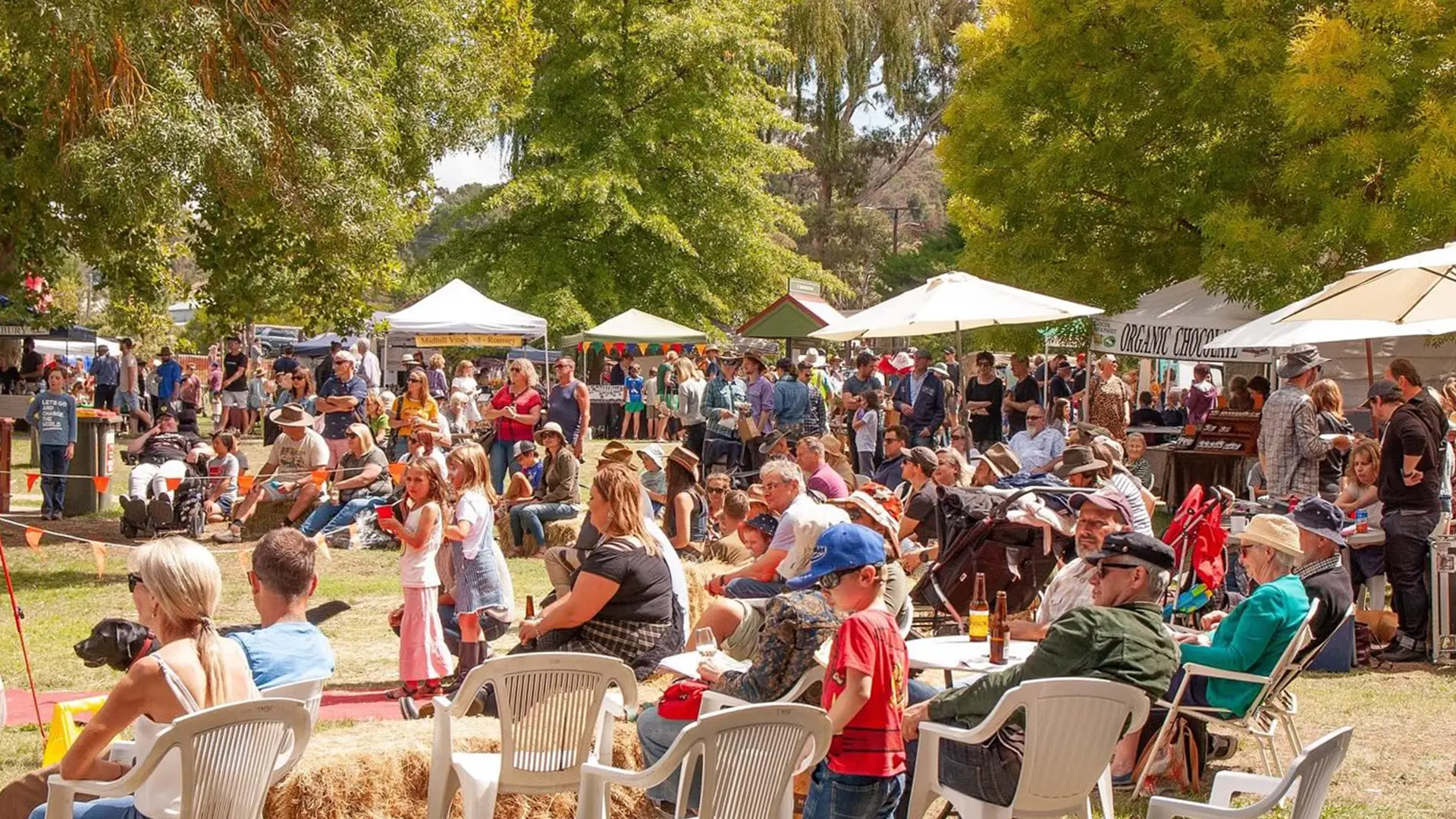 Big turnout expected for Taradale Festival.