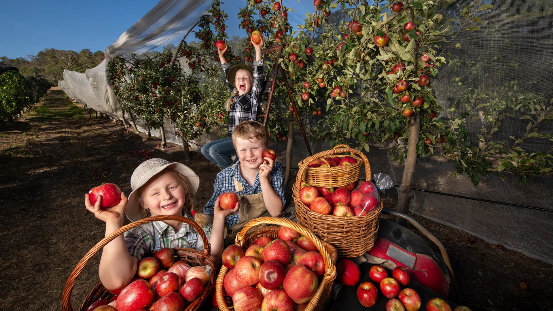 The Sowman kids are all smiles as they get ready for Harcourt Applefest. Photo courtesy Rob Leeson.