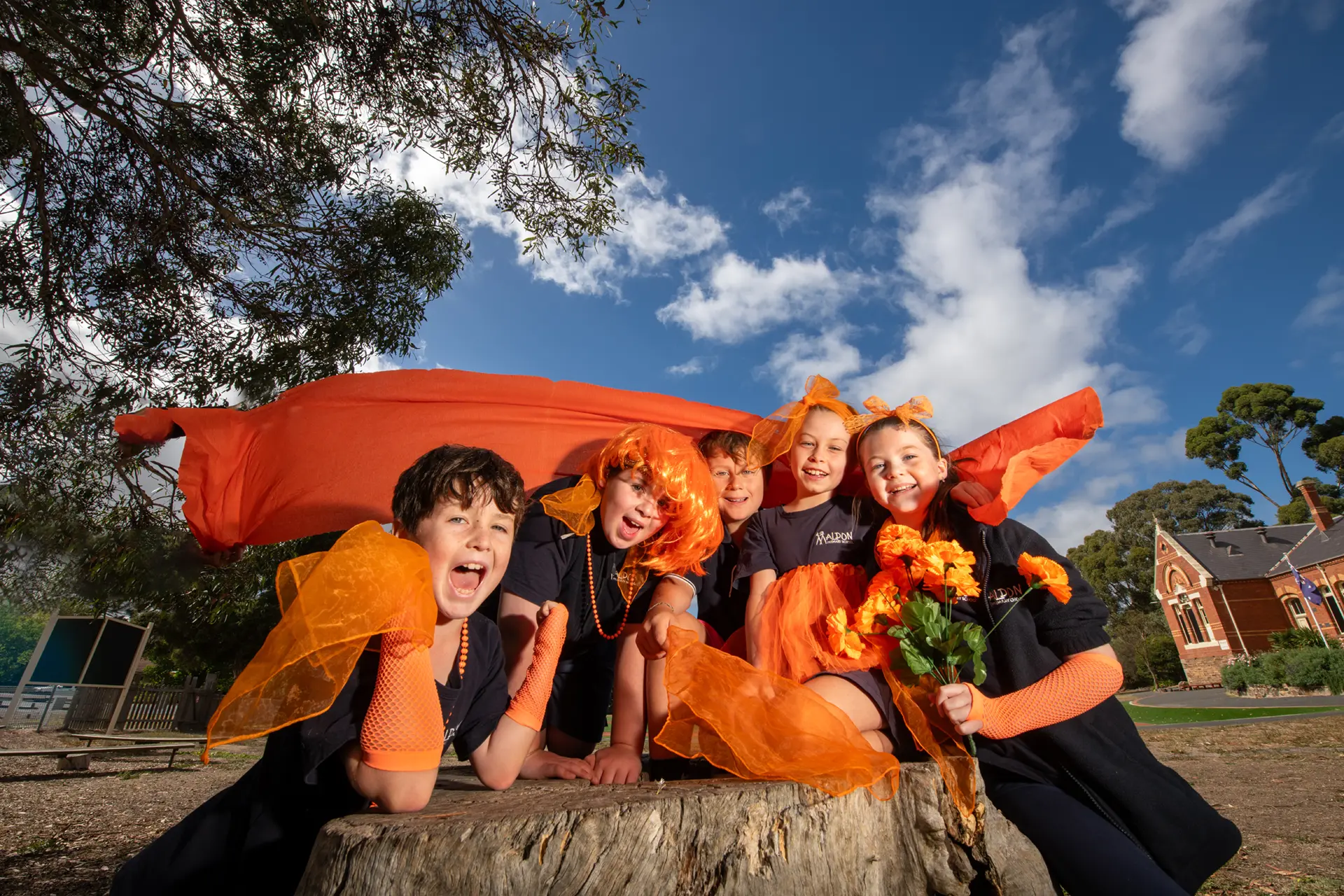 Left to right: Harry, Bill, Ollie, Isobelle and Quinn (with flowers) from Maldon Primary School. Photo courtesy Rob Leeson.