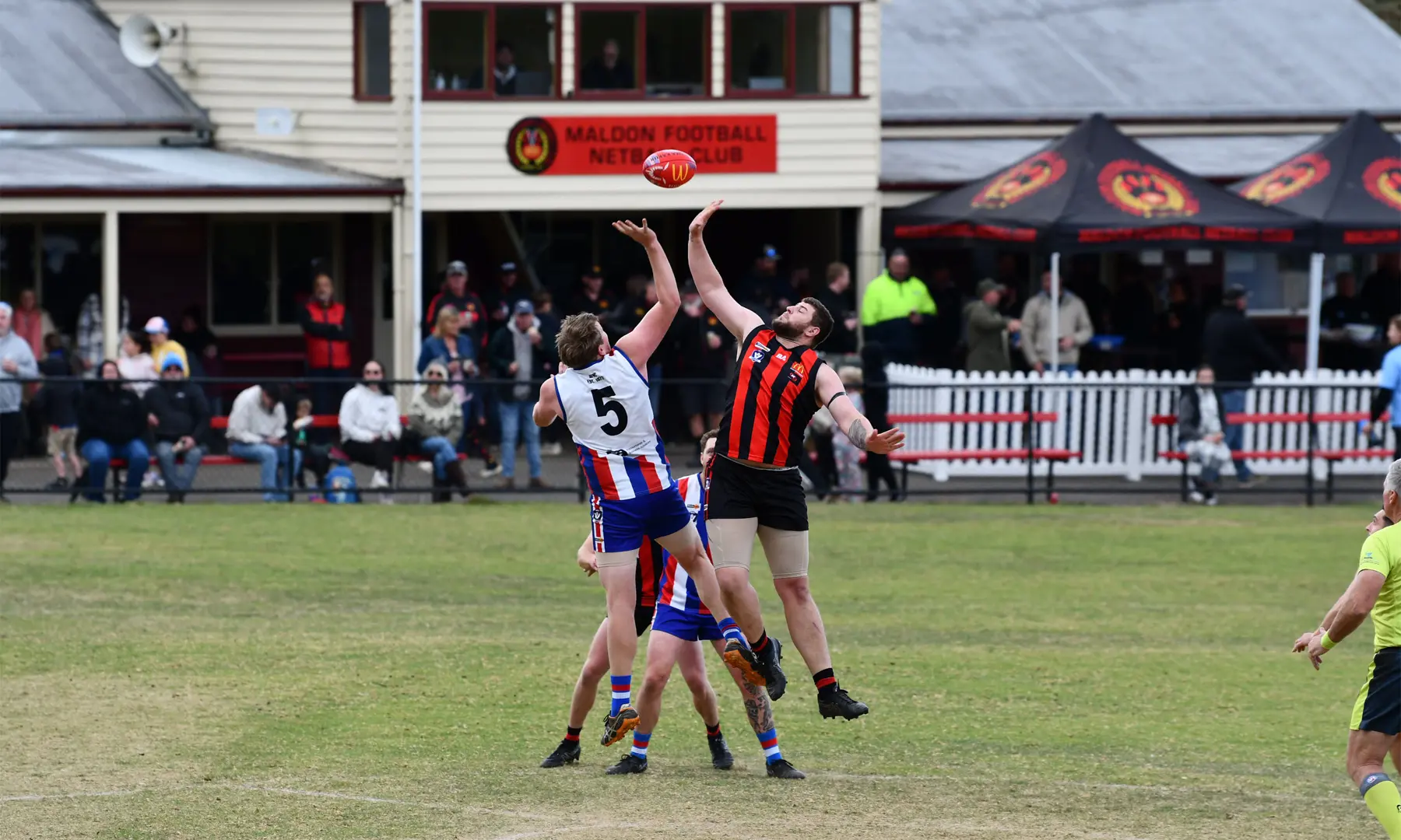 Maldon’s Bailey Brown and Avoca’s Scott Cawthan battle it out from the centre bounce. Photo courtesy The Maryborough District Advertiser.