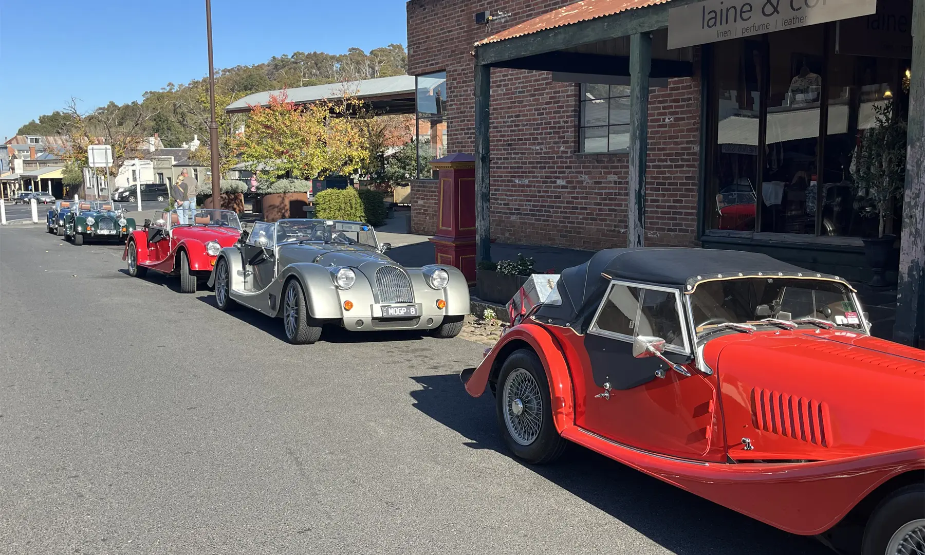 Morgans